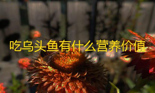 DY低价下单平台商城吃乌头鱼有什么营养价值